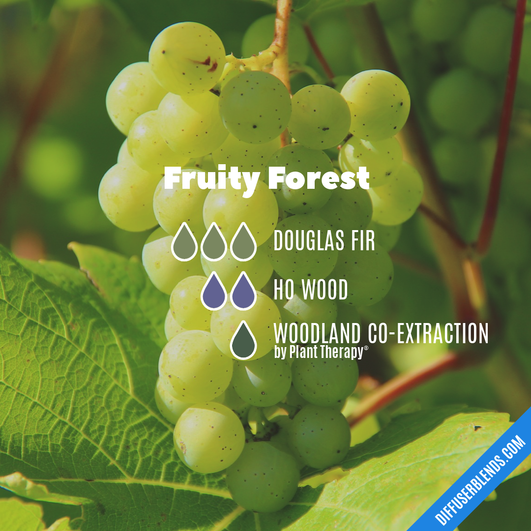 Fruity Forest — Essential Oil Diffuser Blend