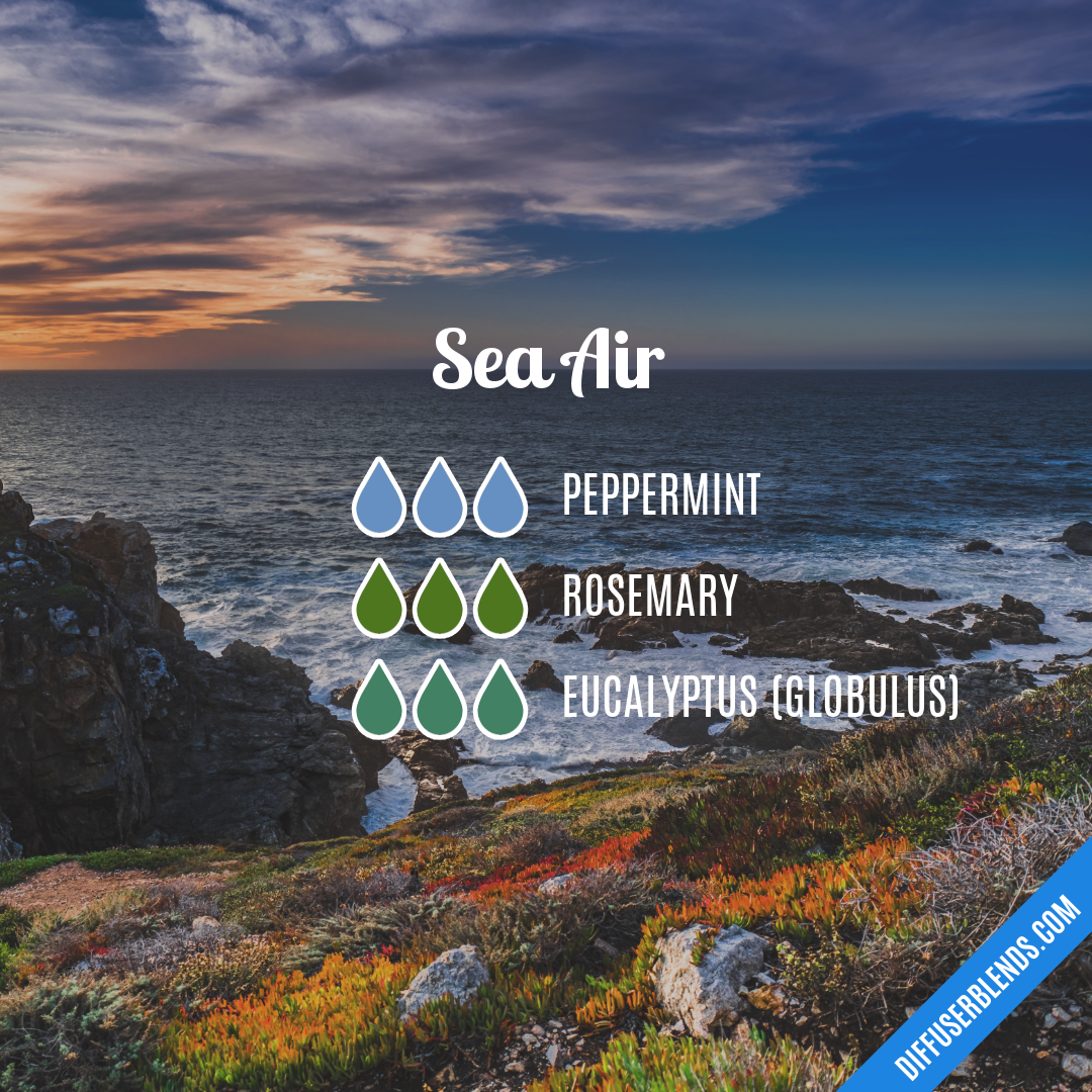 Sea Air | DiffuserBlends.com