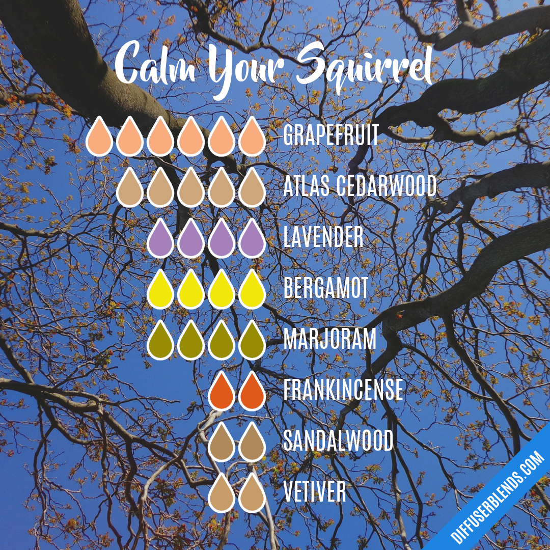 Calm Your Squirrel — Essential Oil Diffuser Blend