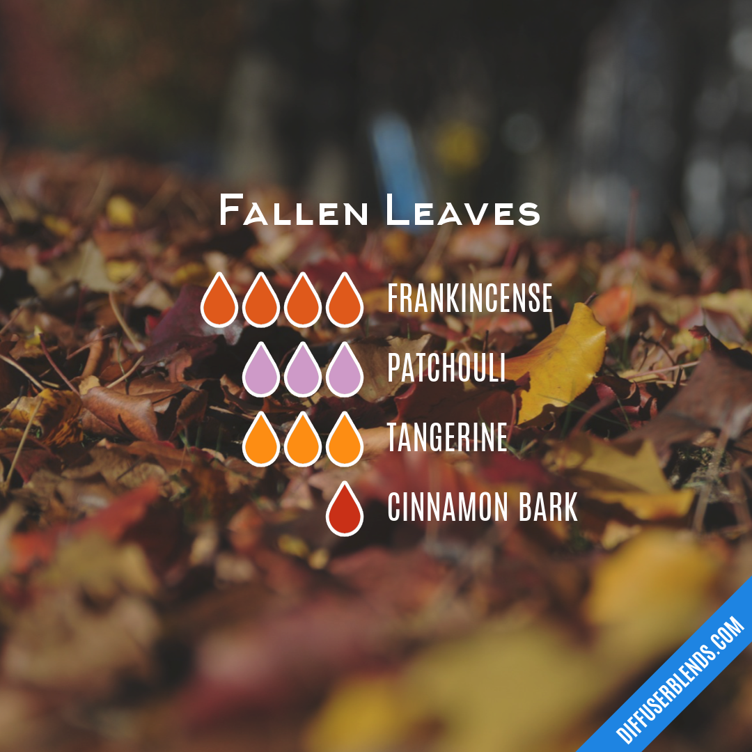 Fallen Leaves — Essential Oil Diffuser Blend
