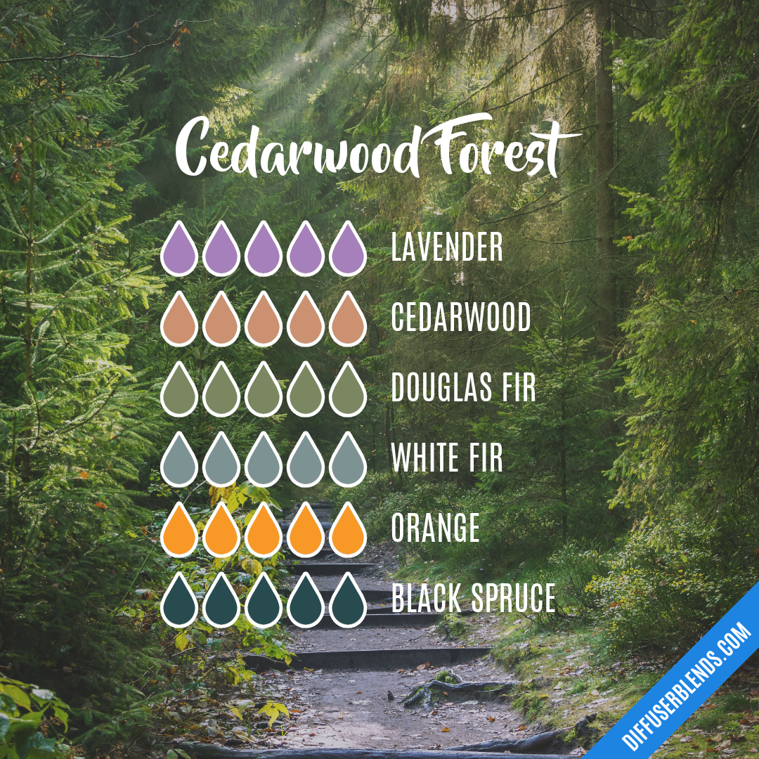 Cedarwood Forest — Essential Oil Diffuser Blend
