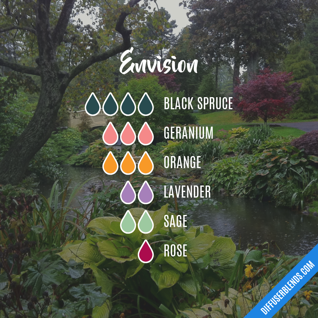 Envision — Essential Oil Diffuser Blend