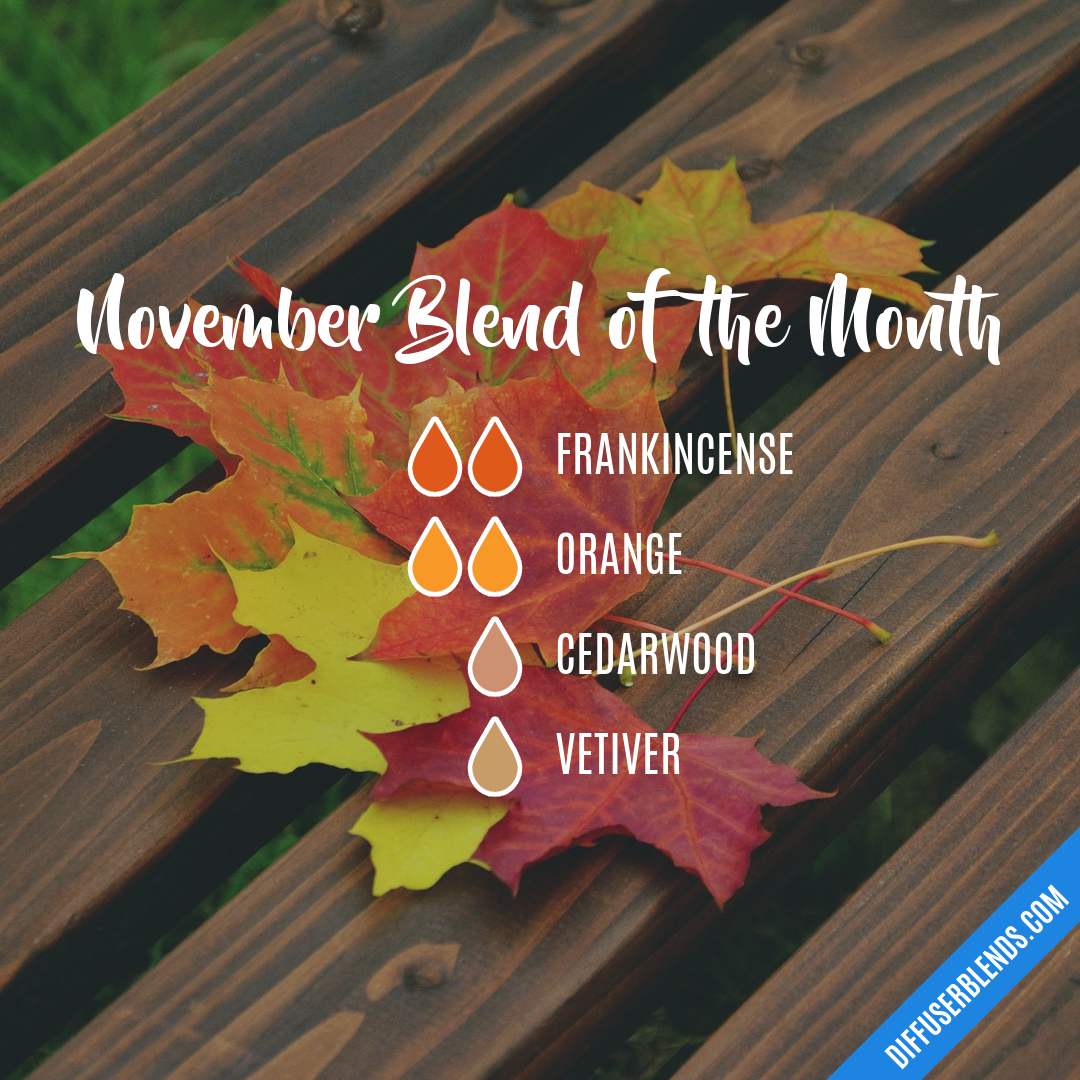 November Blend of the Month — Essential Oil Diffuser Blend