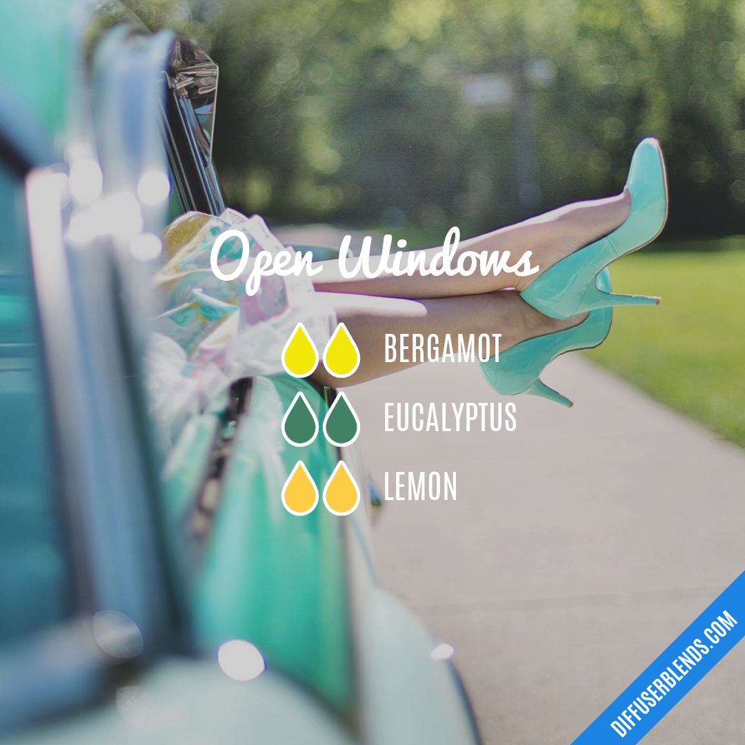 Open Windows — Essential Oil Diffuser Blend