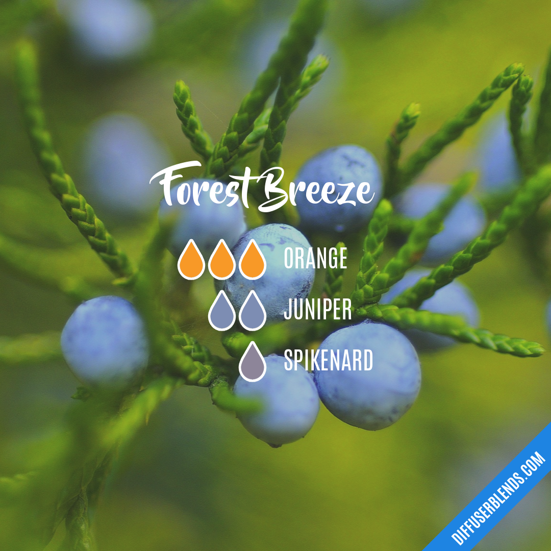 Forest Breeze — Essential Oil Diffuser Blend