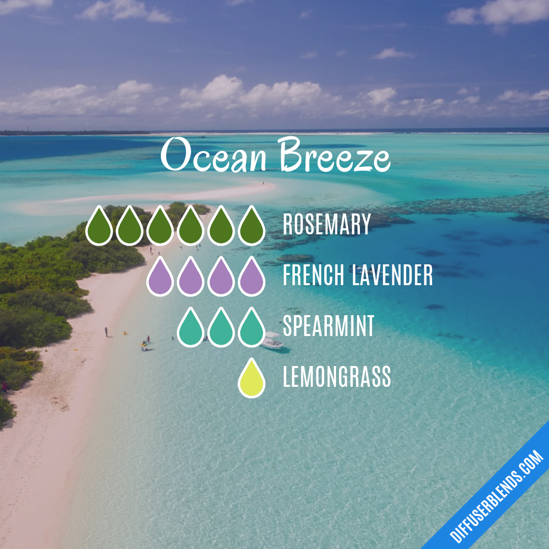 Ocean Breeze — Essential Oil Diffuser Blend