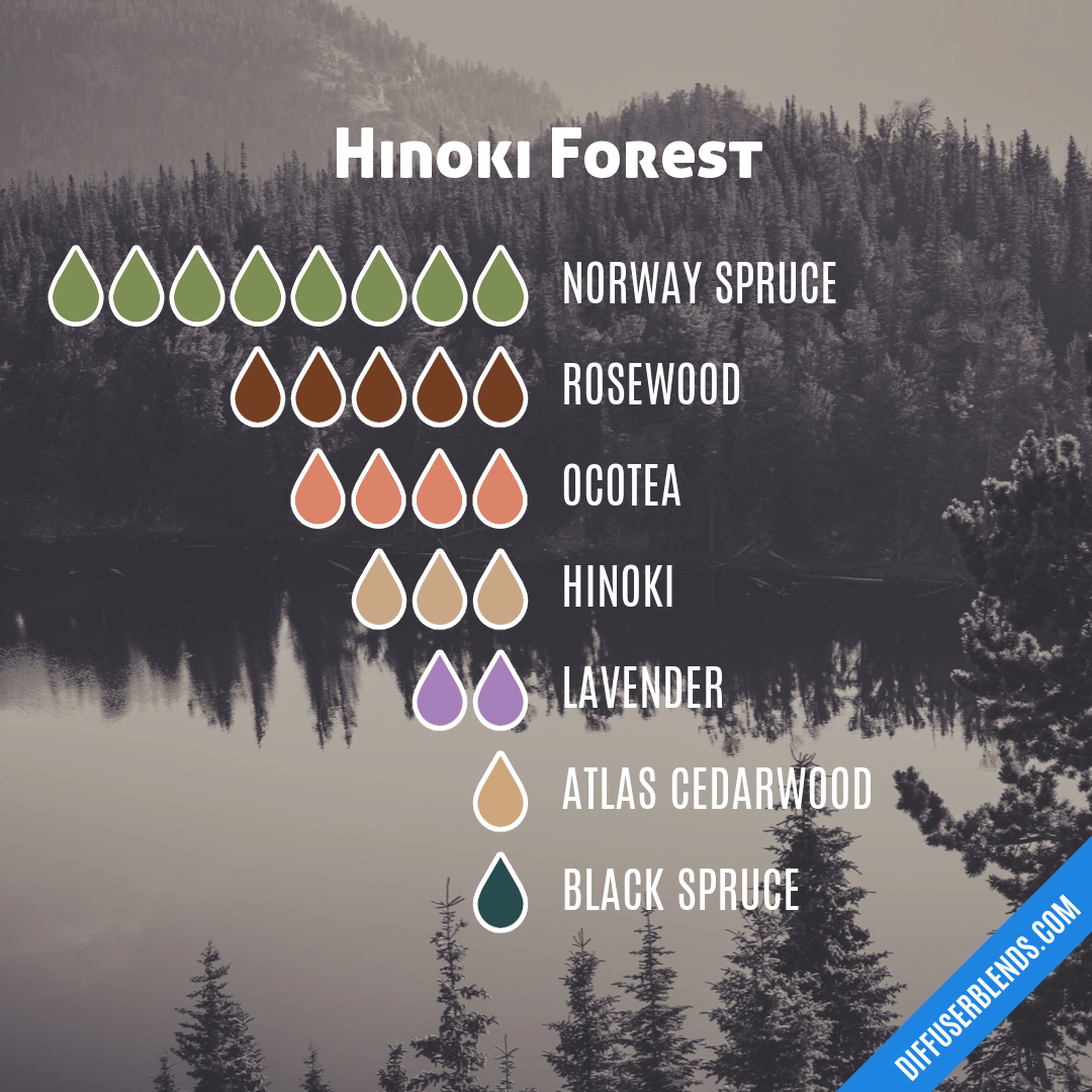 Hinoki Forest — Essential Oil Diffuser Blend