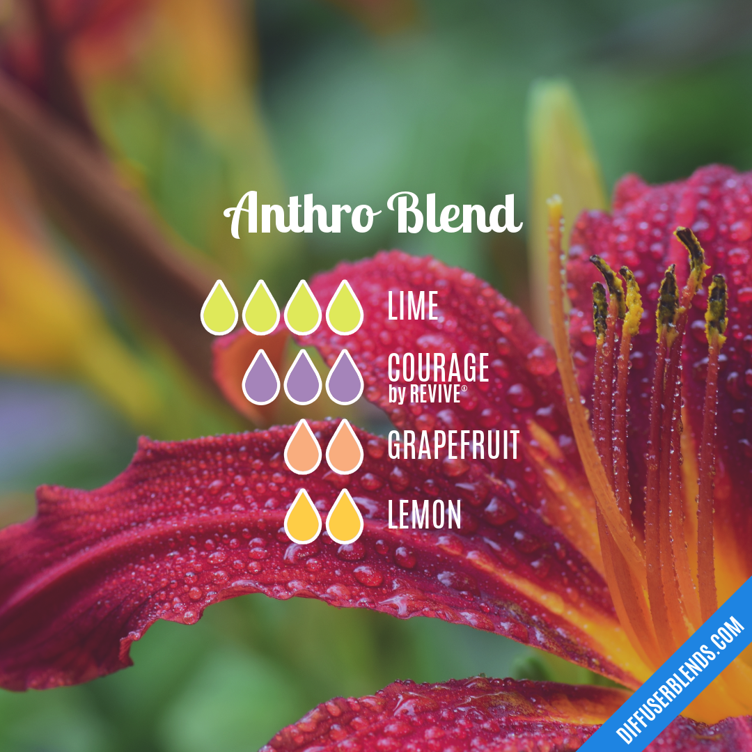 Anthro Blend — Essential Oil Diffuser Blend