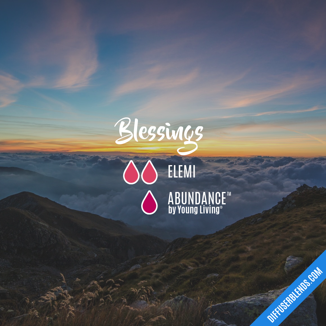 Blessings — Essential Oil Diffuser Blend
