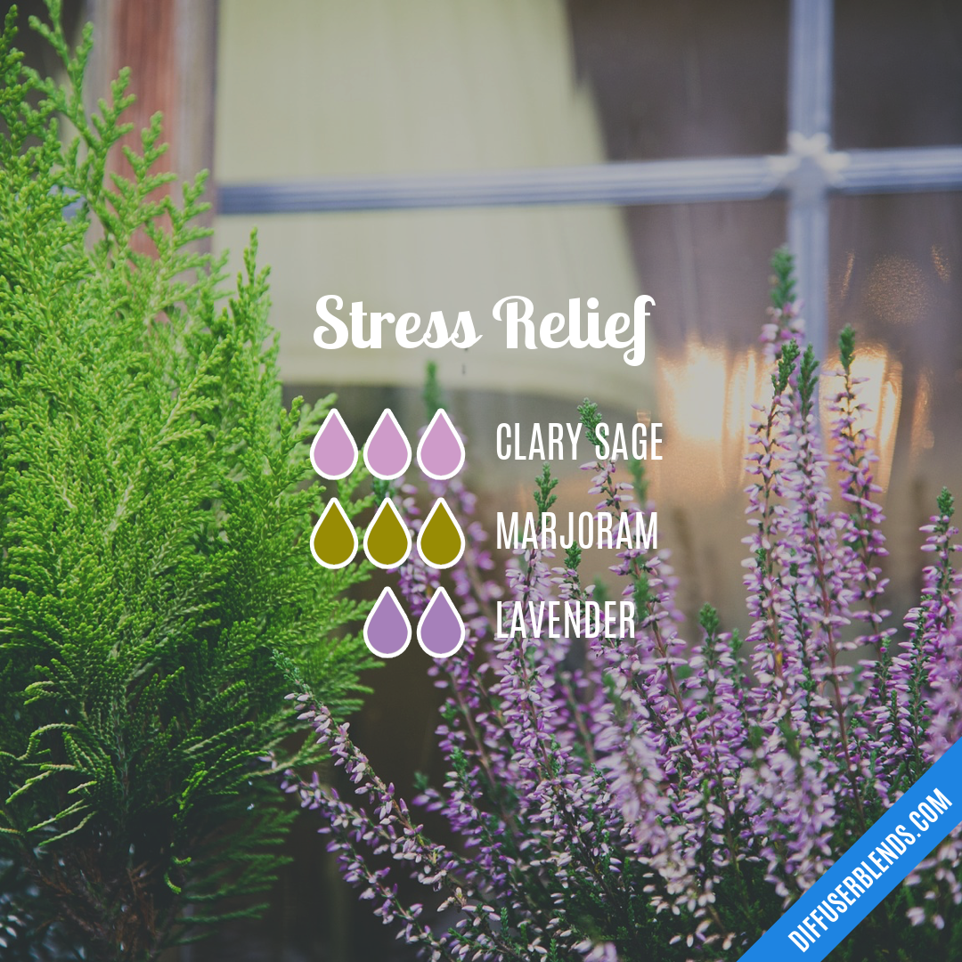 Stress Relief — Essential Oil Diffuser Blend