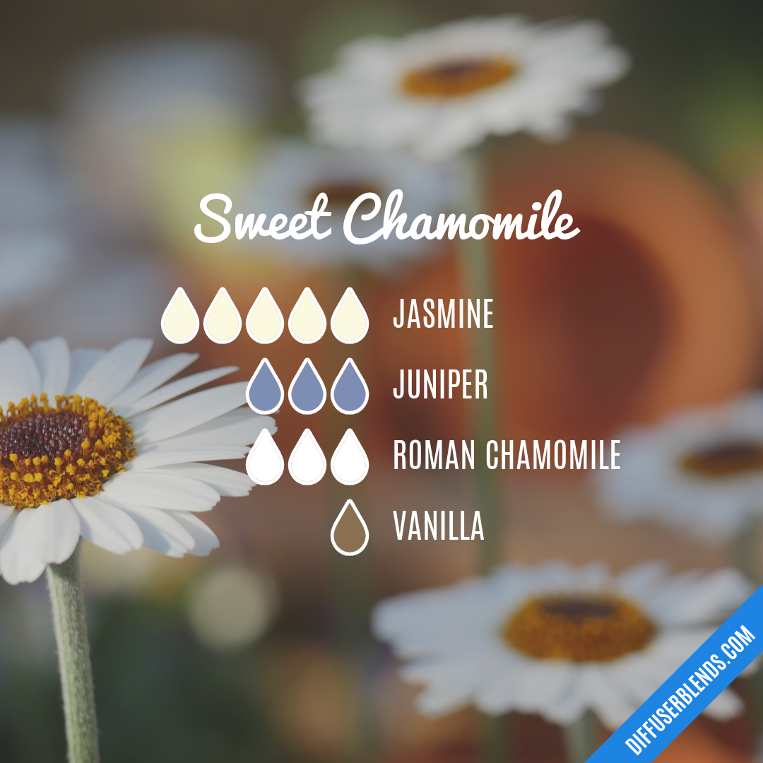 Sweet Chamomile — Essential Oil Diffuser Blend