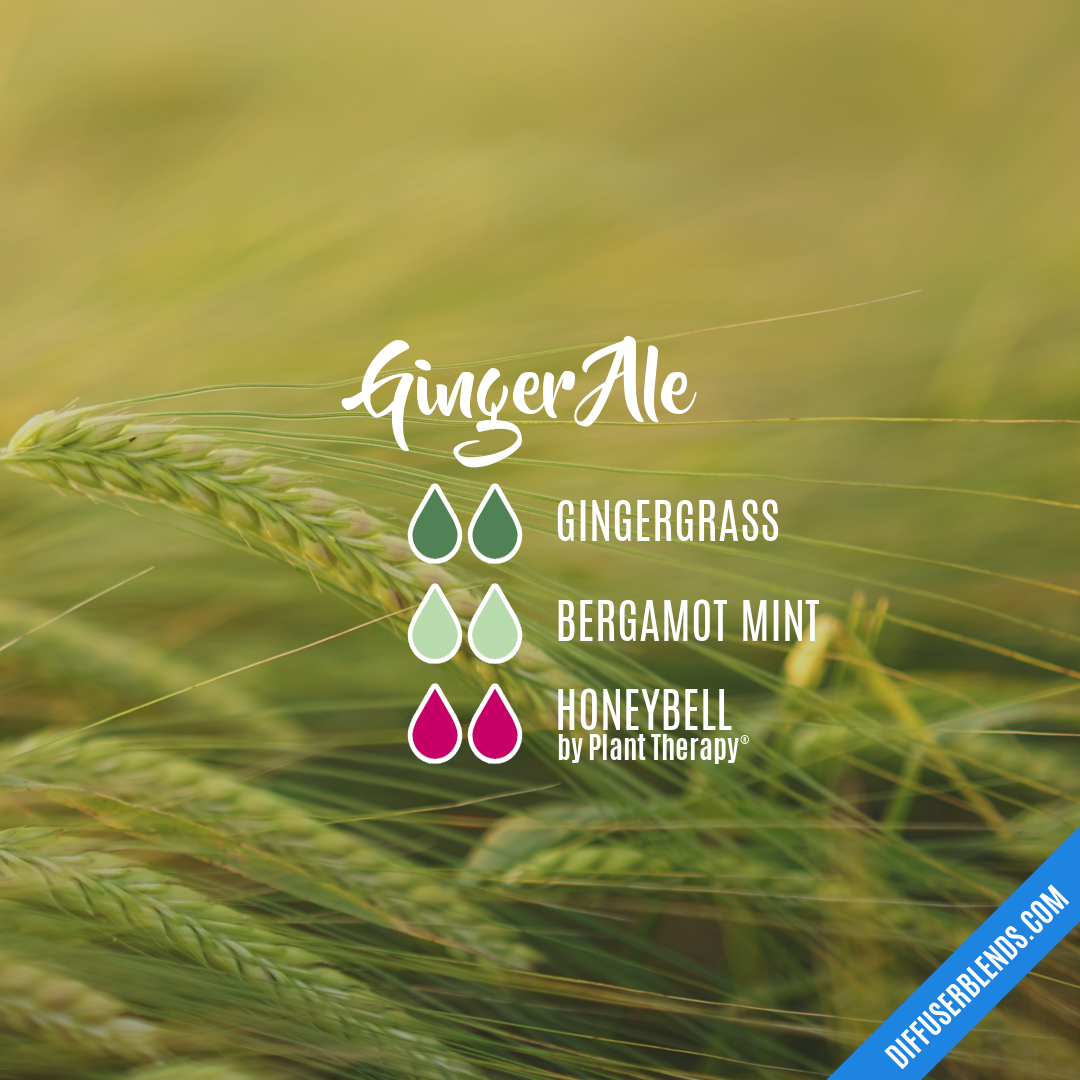Ginger Ale — Essential Oil Diffuser Blend