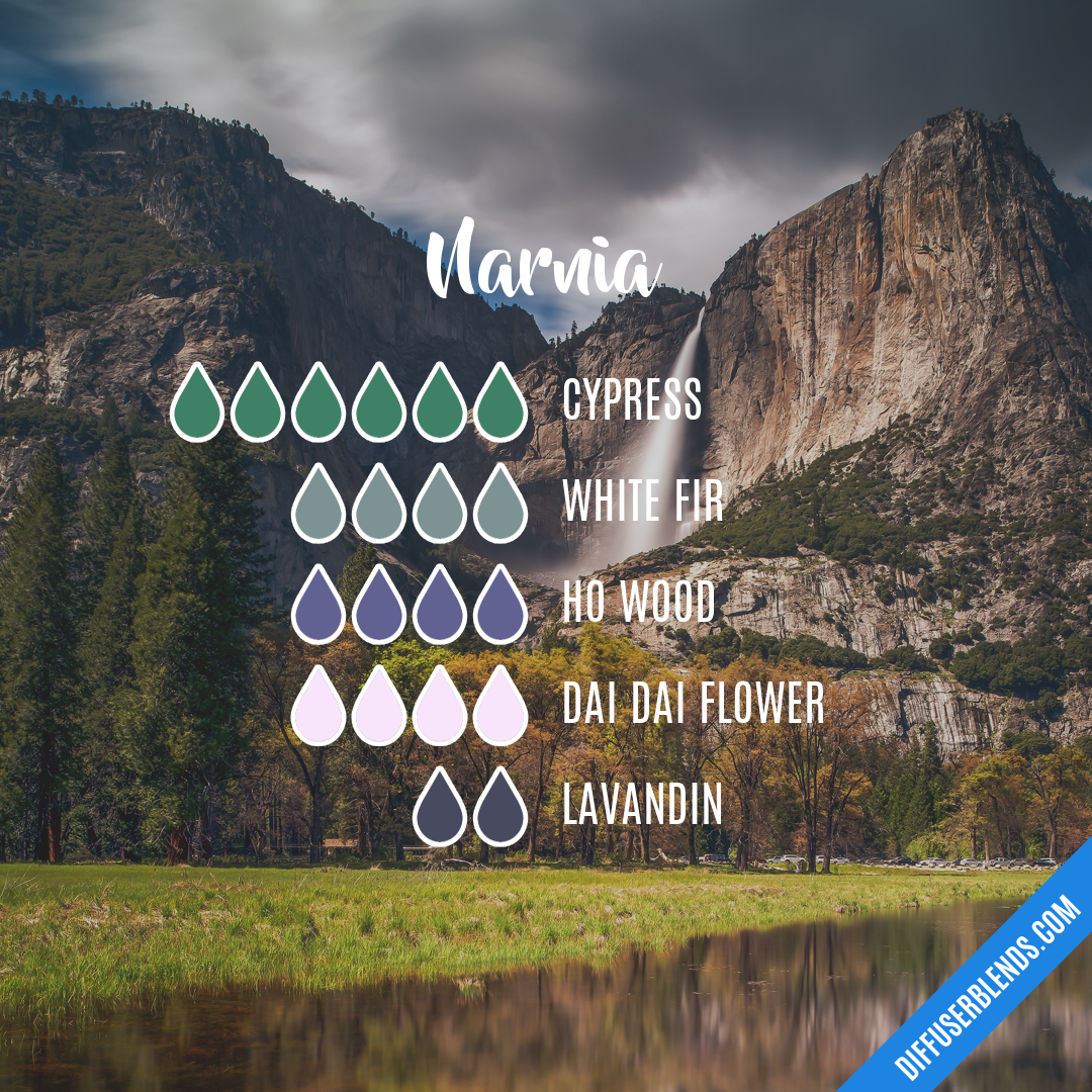 Narnia — Essential Oil Diffuser Blend