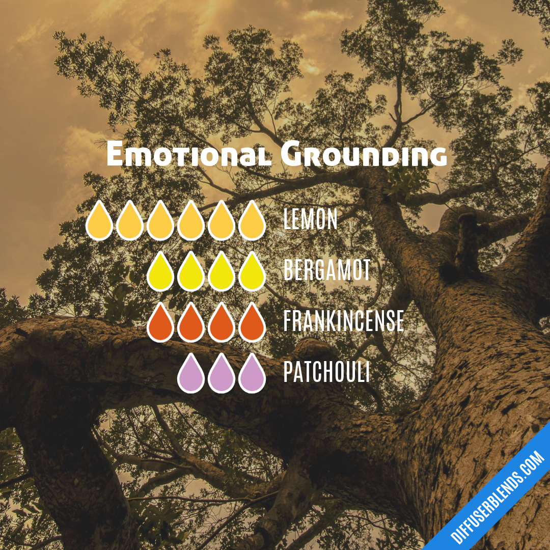 Emotional Grounding — Essential Oil Diffuser Blend