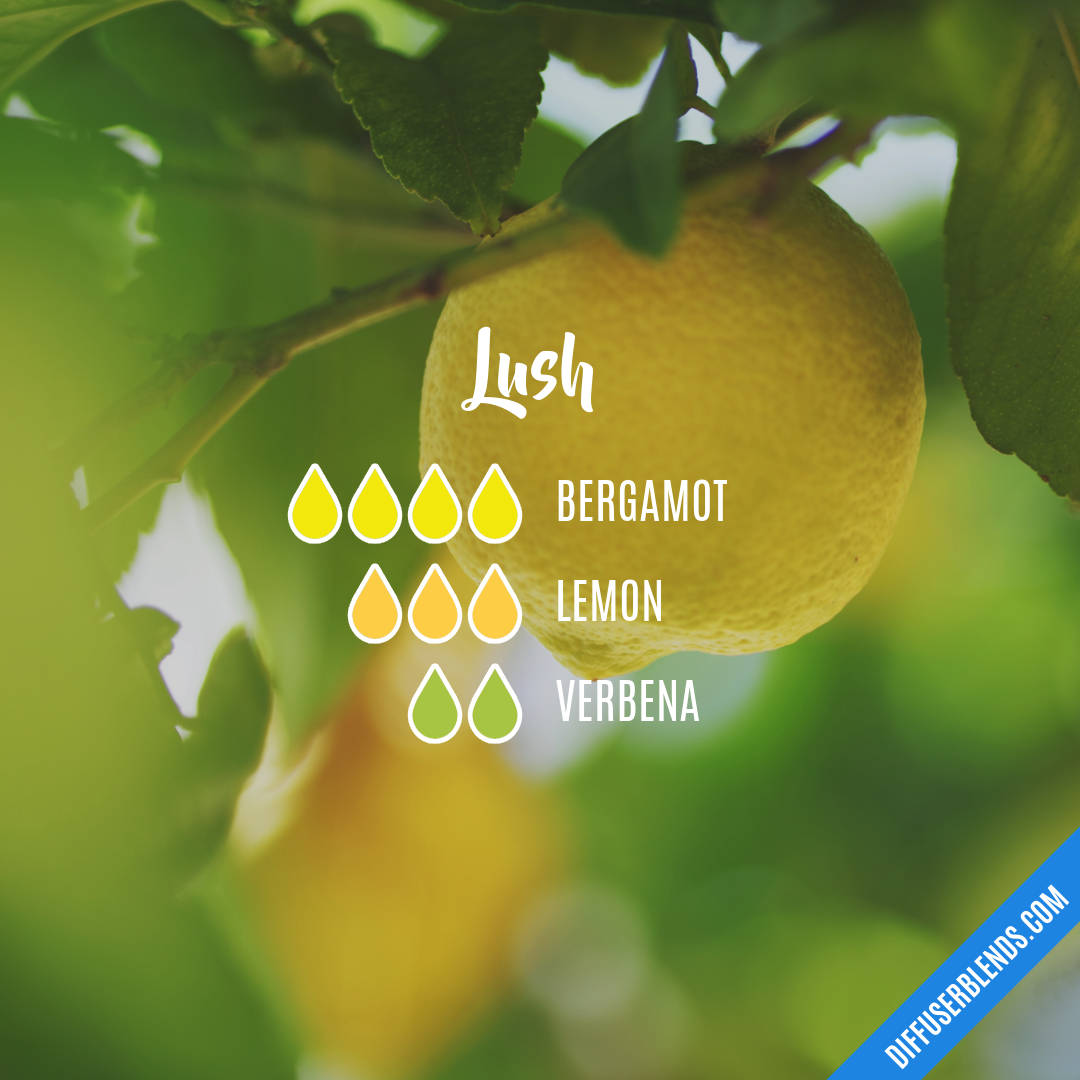 Lush — Essential Oil Diffuser Blend