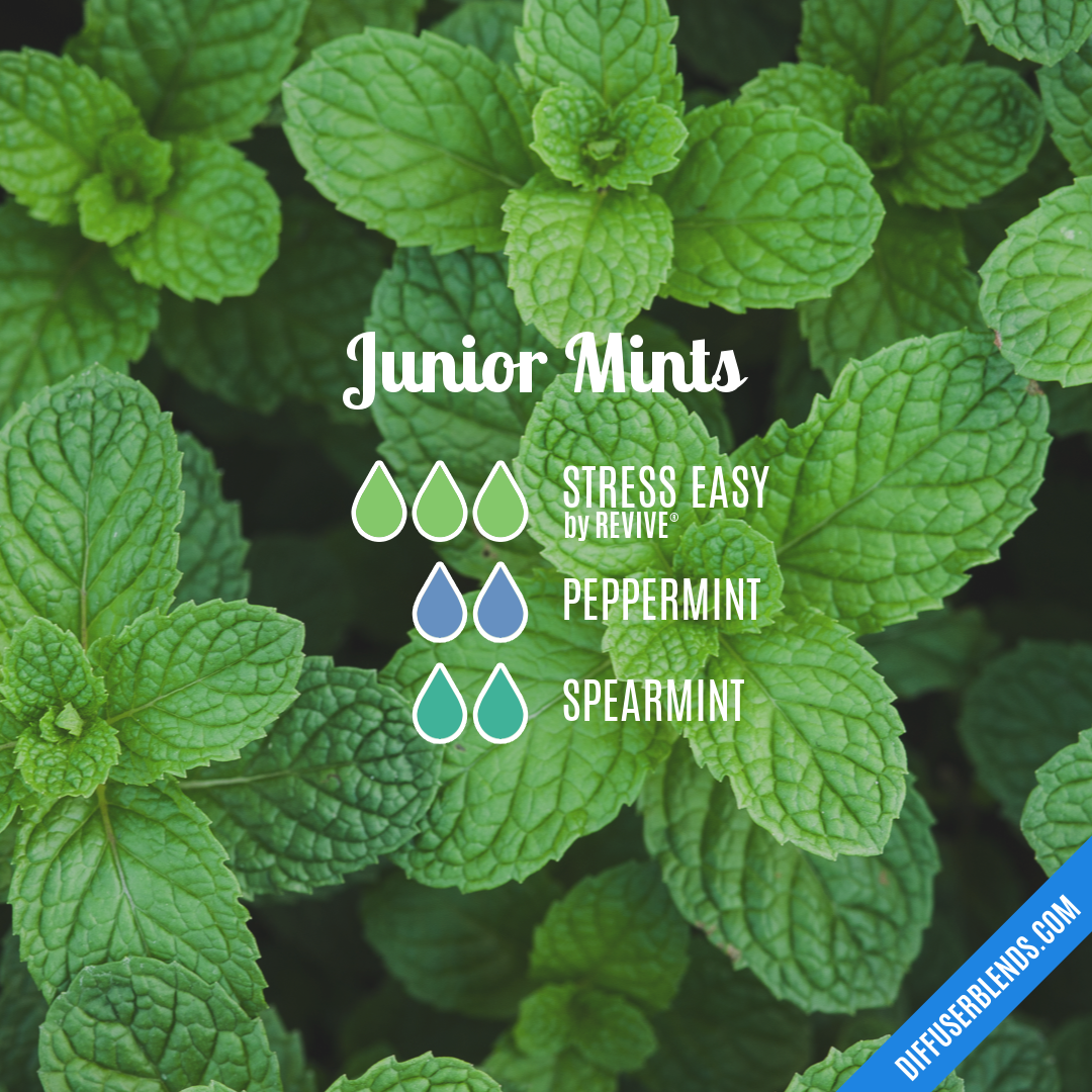 Junior Mints