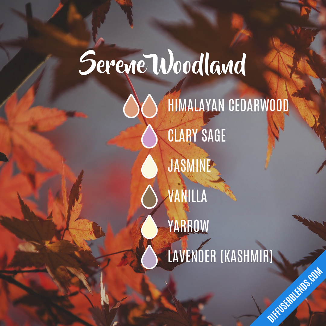 Serene Woodland — Essential Oil Diffuser Blend