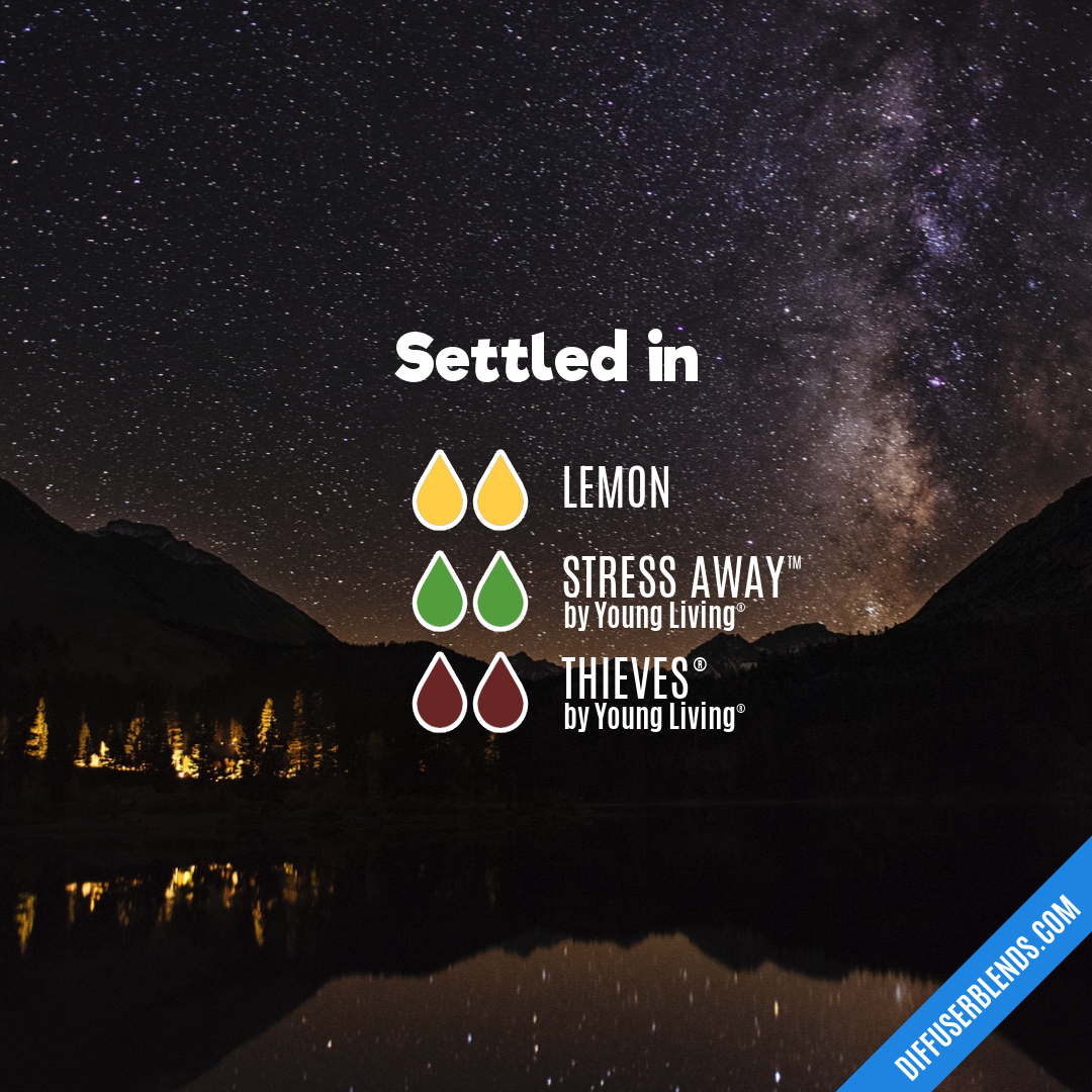 Settled in — Essential Oil Diffuser Blend