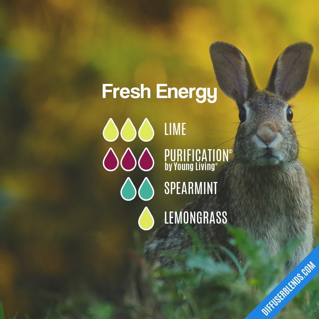 Fresh Energy — Essential Oil Diffuser Blend
