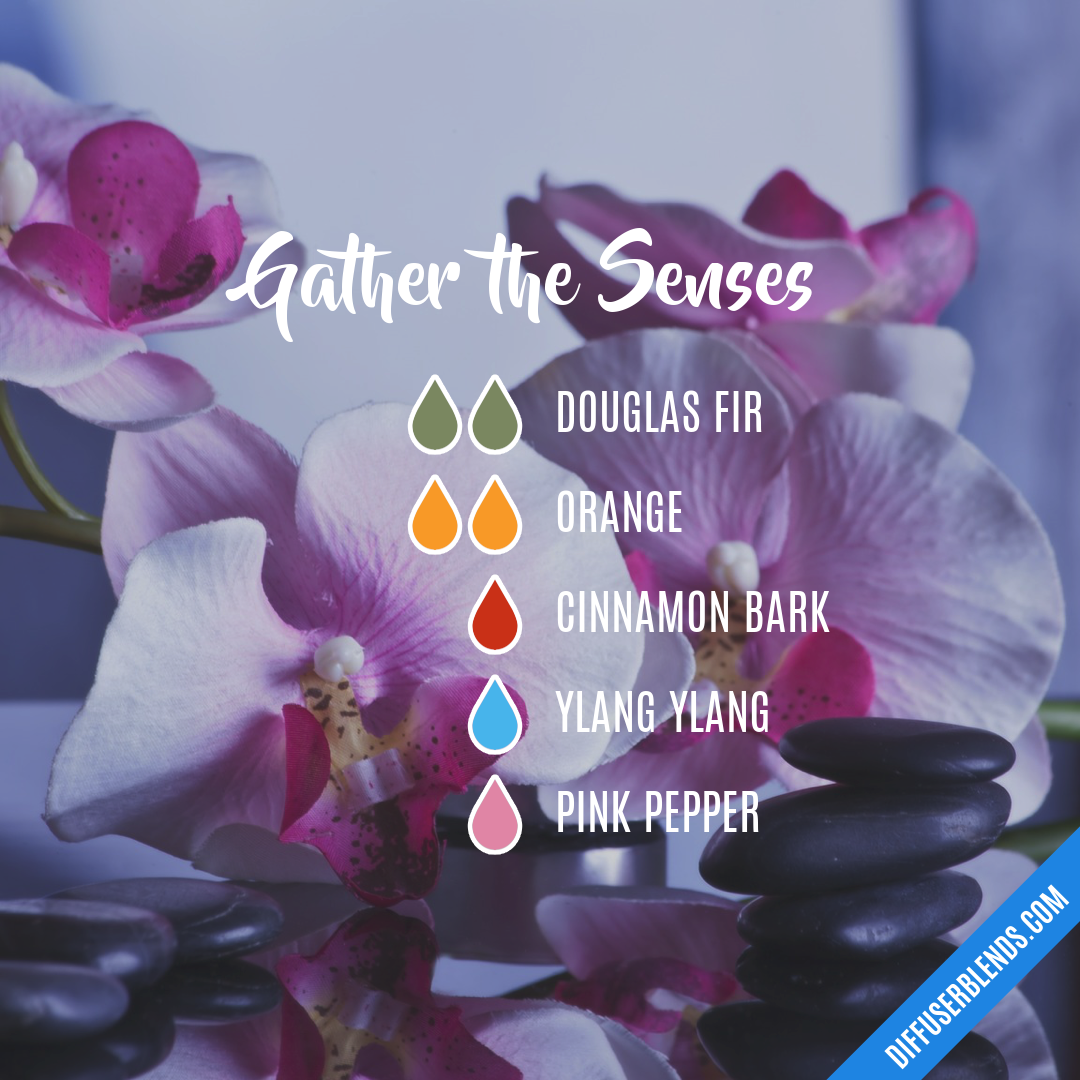Gather the Senses — Essential Oil Diffuser Blend
