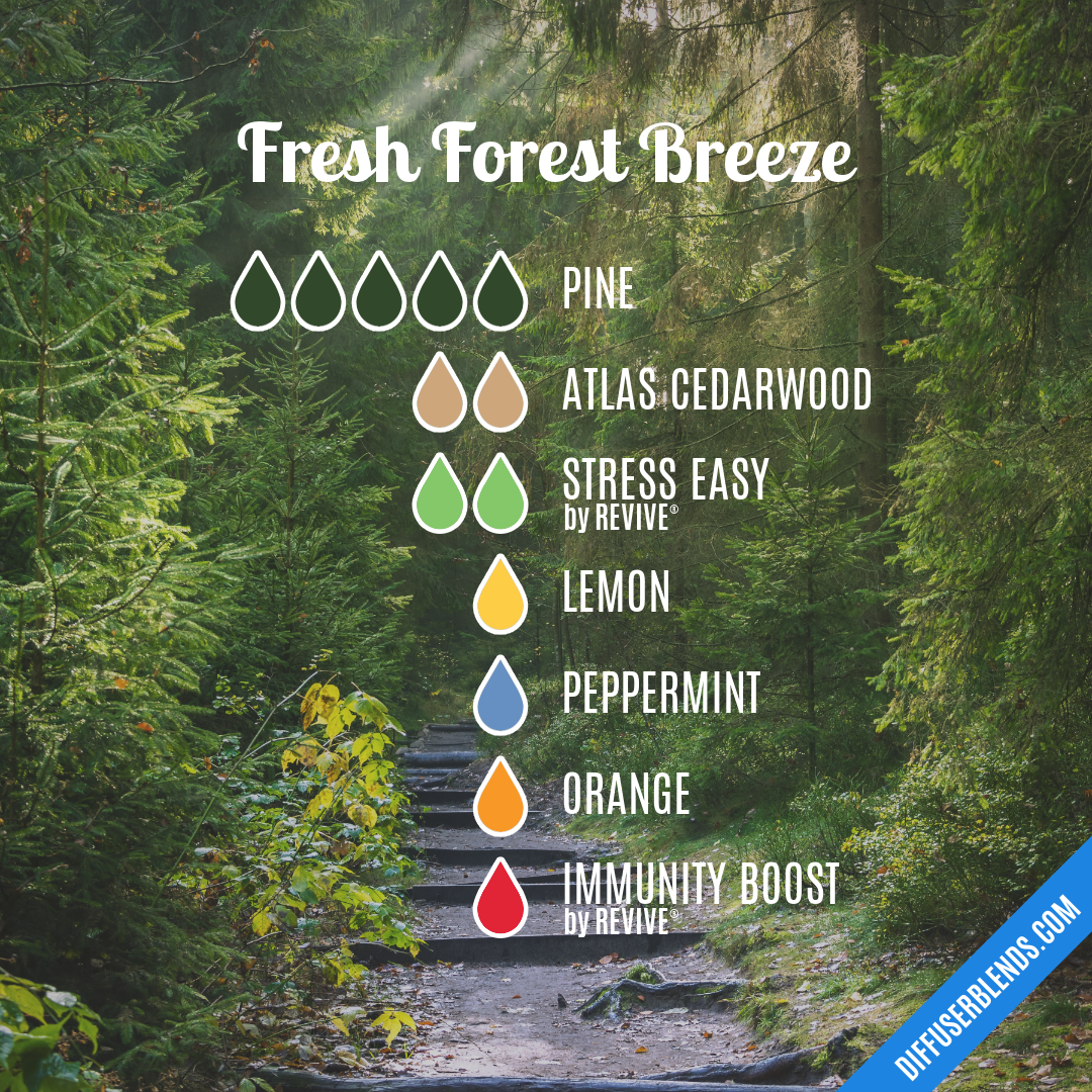 Fresh Forest Breeze — Essential Oil Diffuser Blend