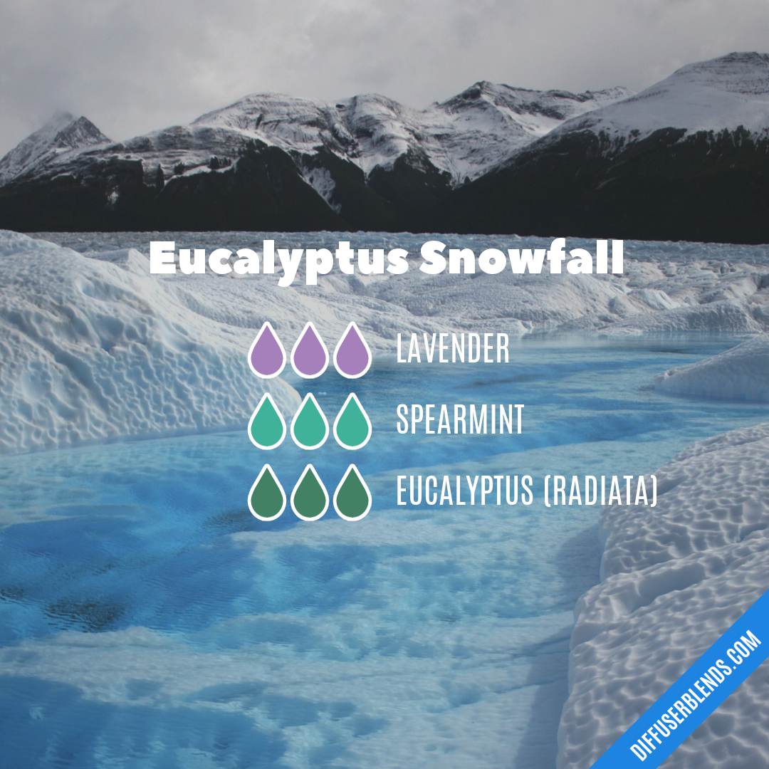 Eucalyptus Snowfall — Essential Oil Diffuser Blend