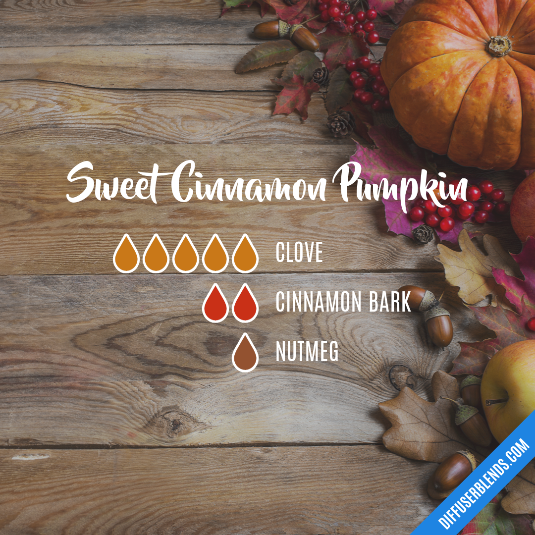 Sweet Cinnamon Pumpkin — Essential Oil Diffuser Blend