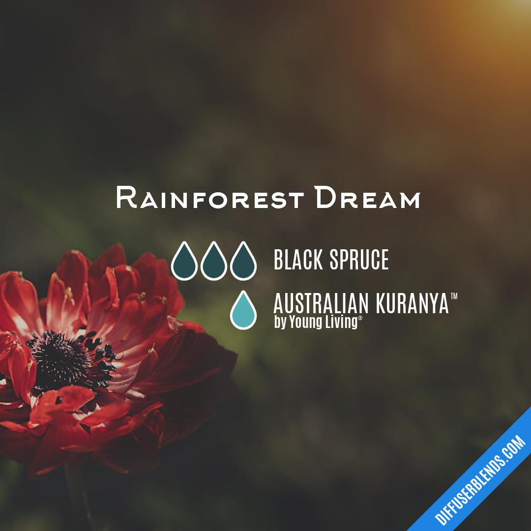 Rainforest Dream — Essential Oil Diffuser Blend