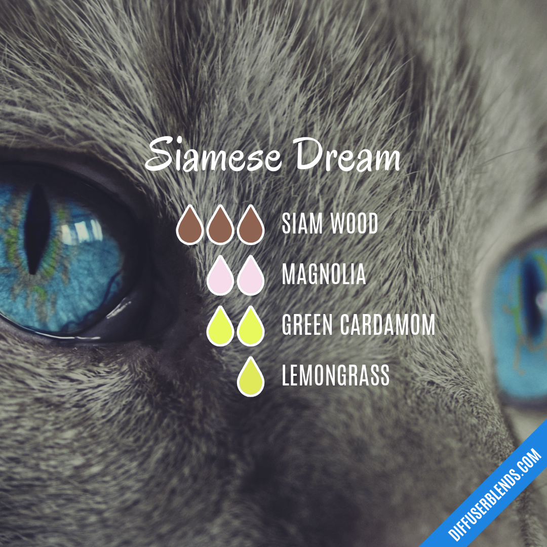 Siamese Dream — Essential Oil Diffuser Blend