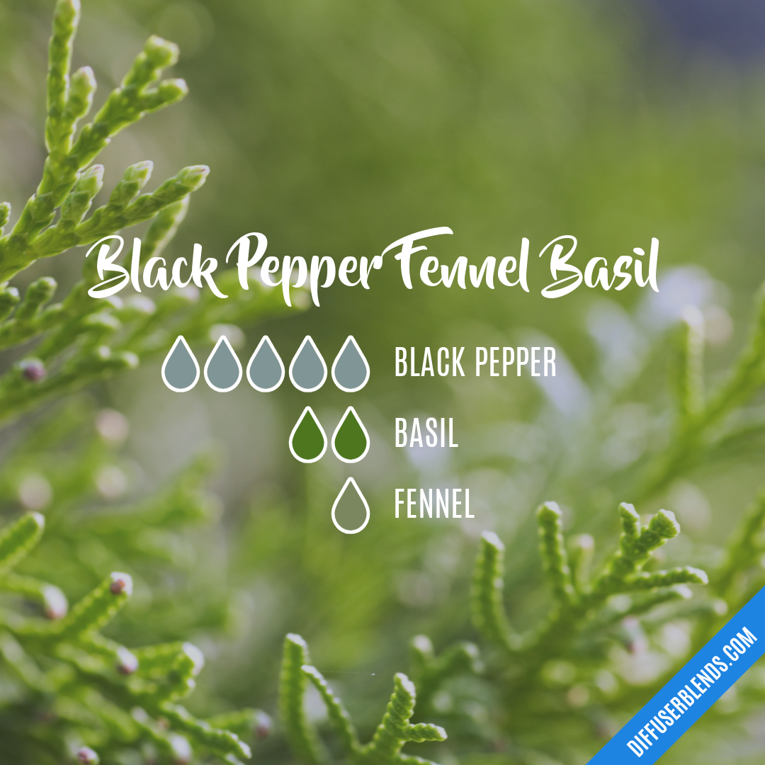 Black Pepper Fennel Basil — Essential Oil Diffuser Blend