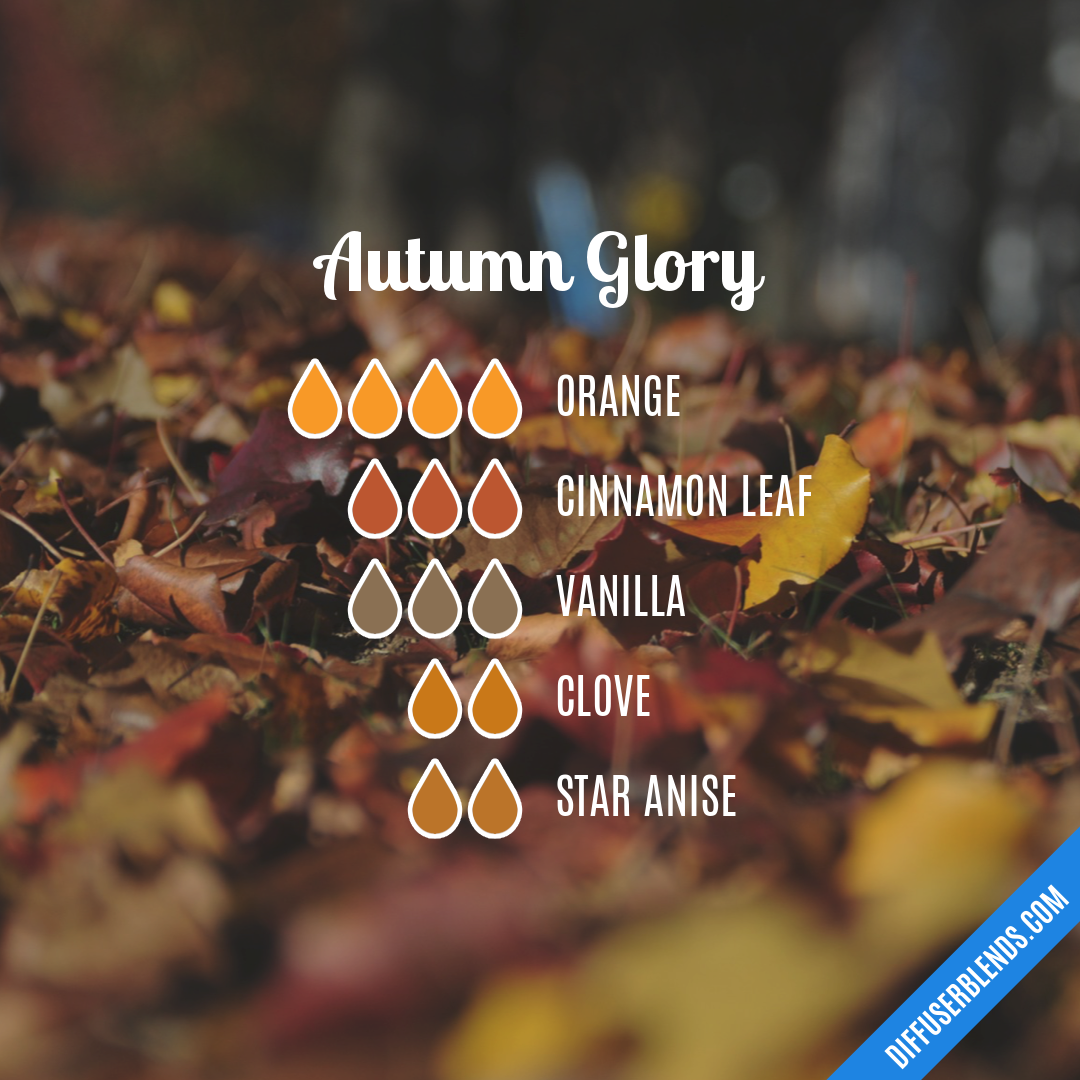 Autumn Glory — Essential Oil Diffuser Blend