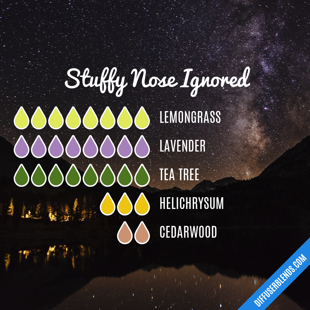 Stuffy Nose Ignored — Essential Oil Diffuser Blend