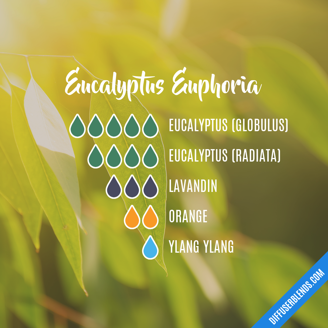 Eucalyptus Euphoria — Essential Oil Diffuser Blend