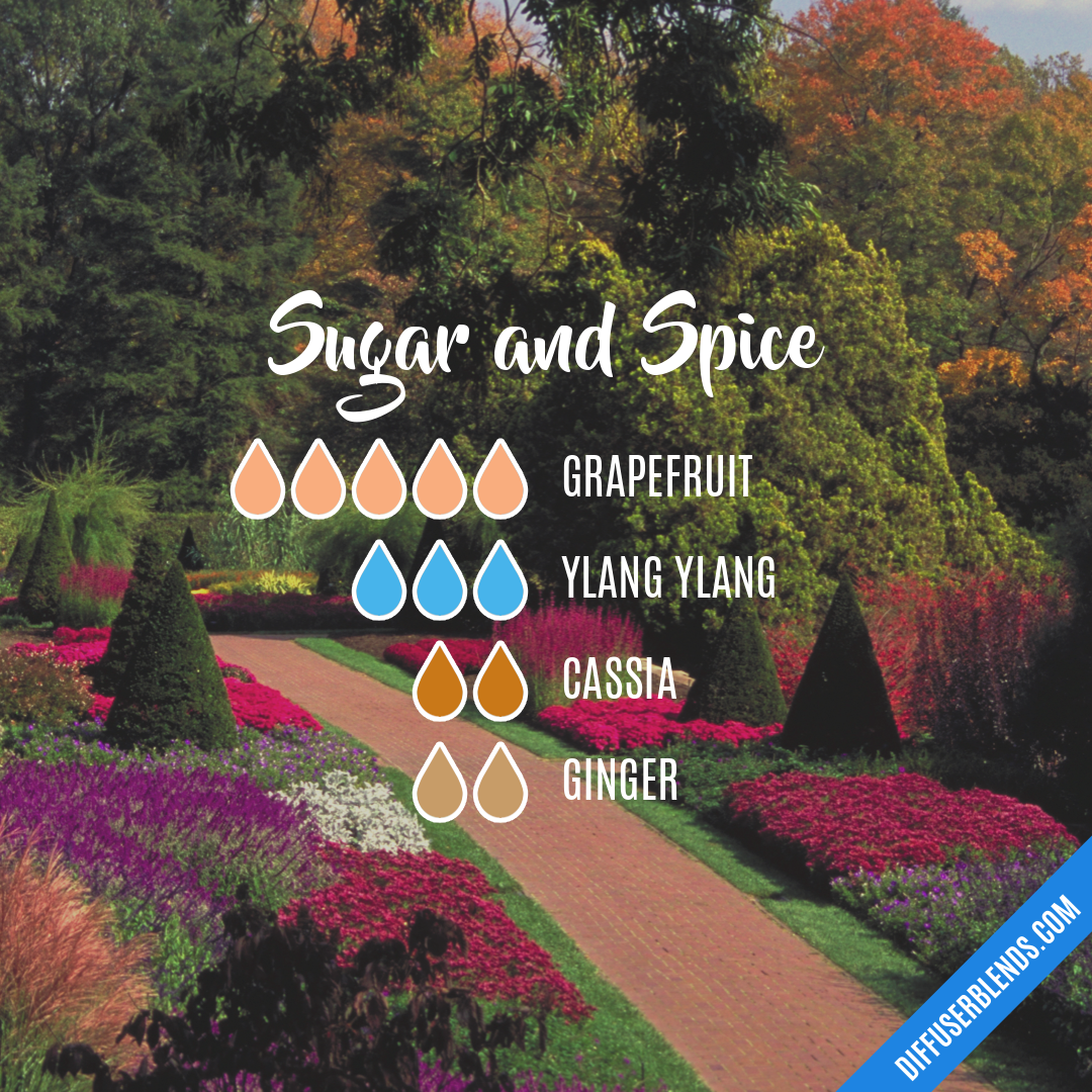Sugar and Spice — Essential Oil Diffuser Blend