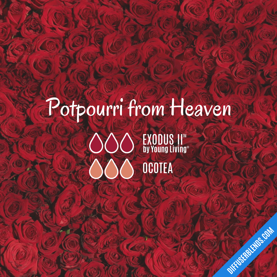 Potpourri from Heaven — Essential Oil Diffuser Blend