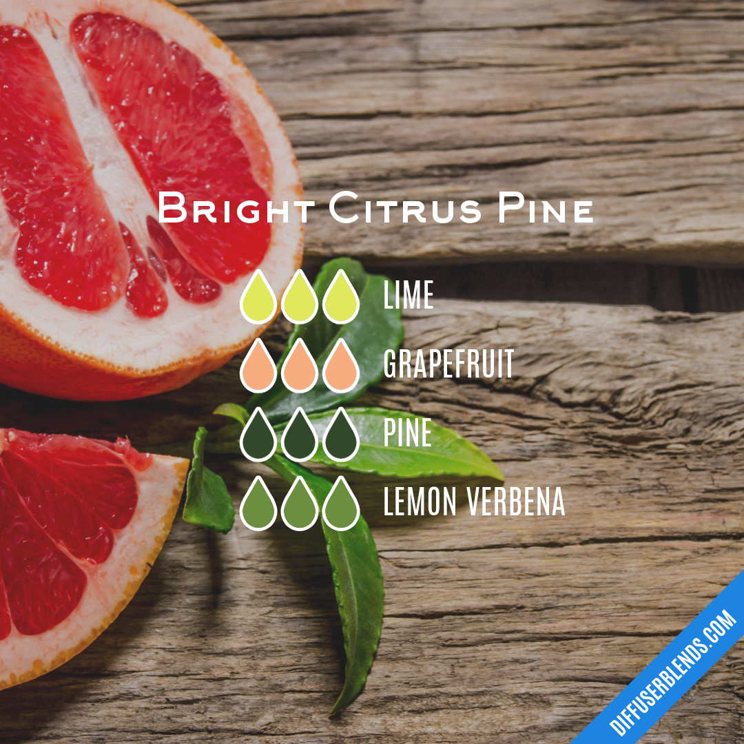 Bright Citrus Pine — Essential Oil Diffuser Blend