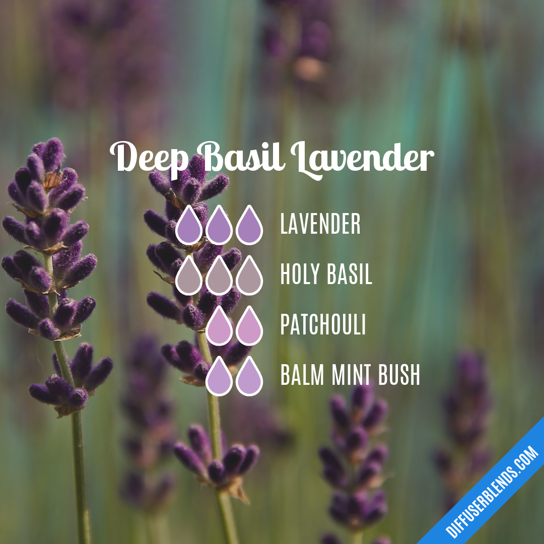 Deep Basil Lavender — Essential Oil Diffuser Blend