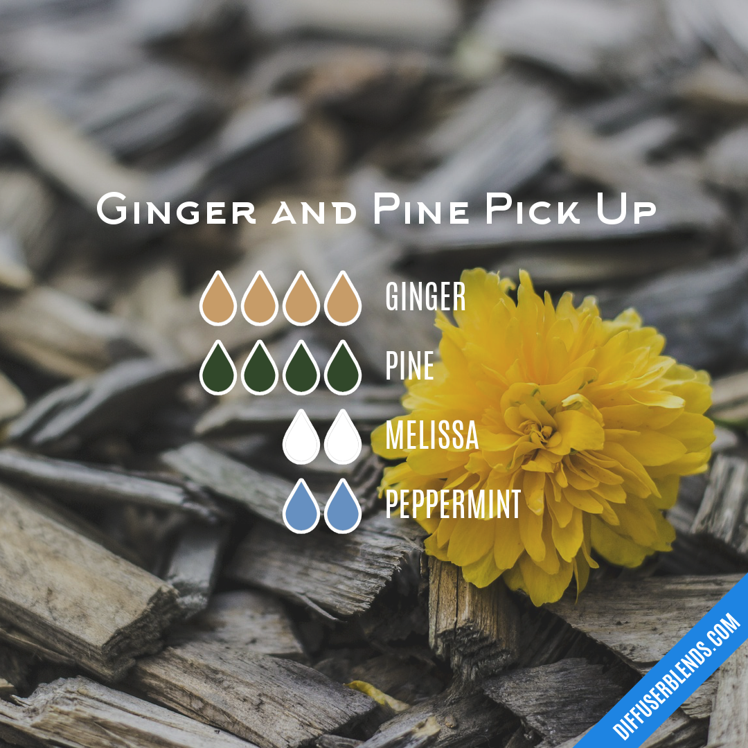 Ginger and Pine Pick Up — Essential Oil Diffuser Blend