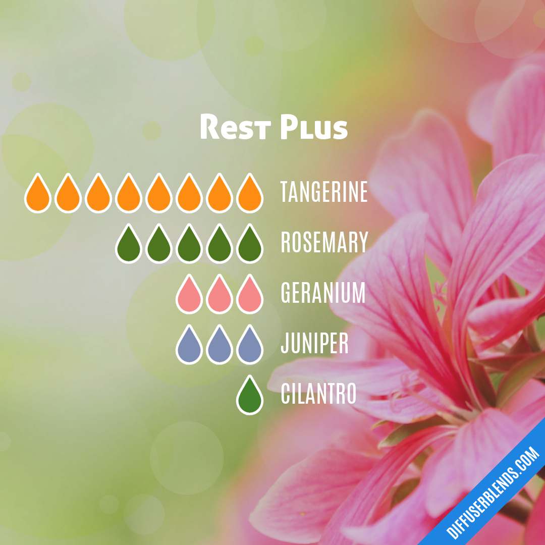 Rest Plus — Essential Oil Diffuser Blend