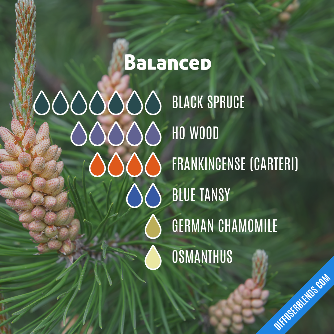 Balanced — Essential Oil Diffuser Blend