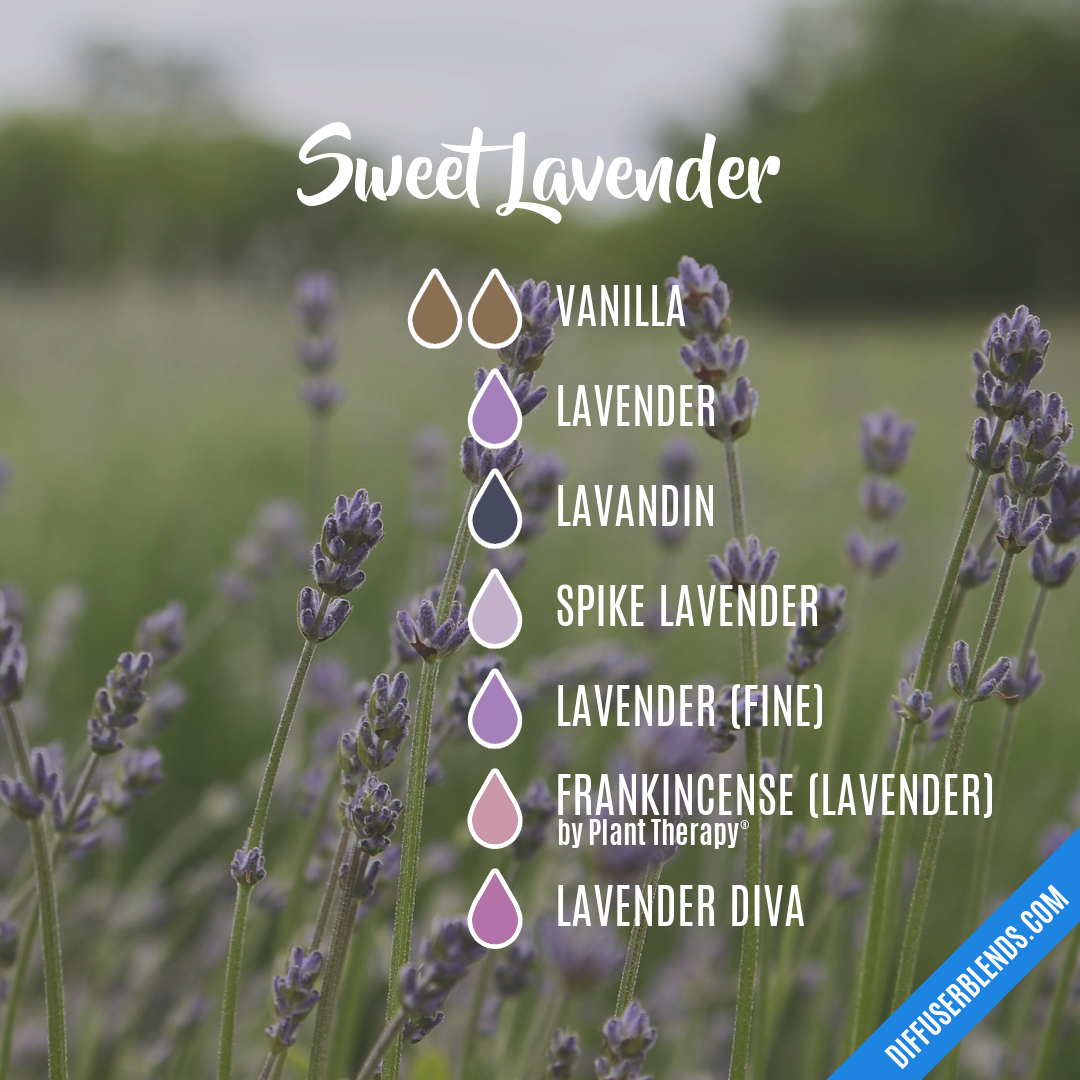 Sweet Lavender — Essential Oil Diffuser Blend
