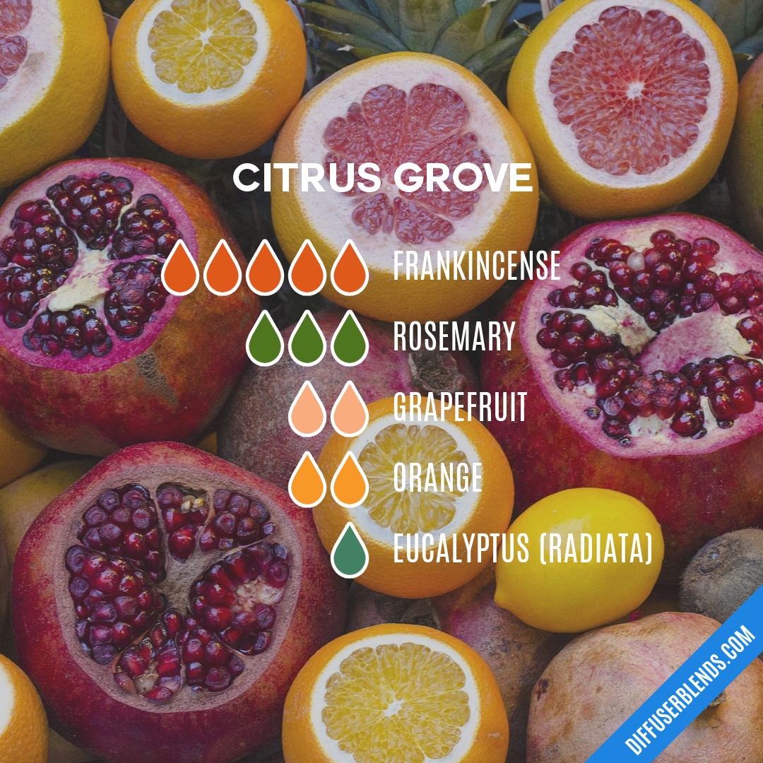 Citrus Grove — Essential Oil Diffuser Blend