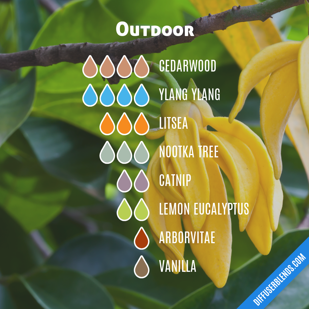 Outdoor — Essential Oil Diffuser Blend