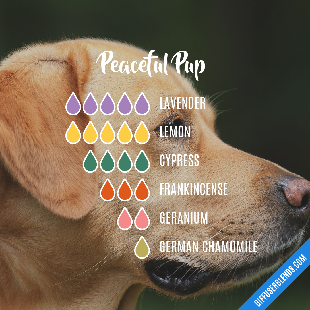 Peaceful Pup — Essential Oil Diffuser Blend