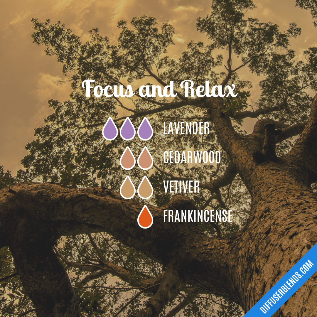 Focus and Relax — Essential Oil Diffuser Blend