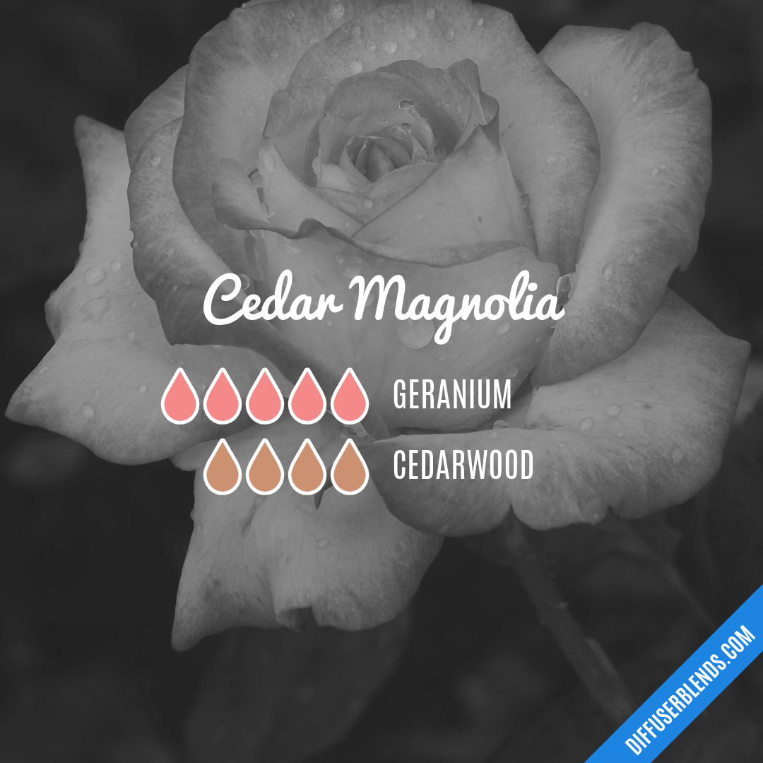 Cedar Magnolia — Essential Oil Diffuser Blend