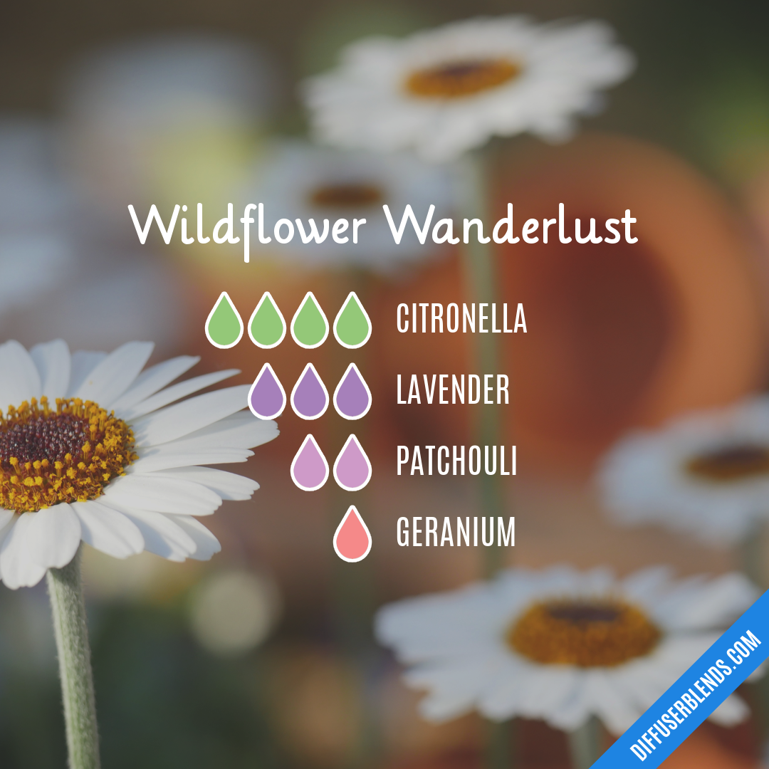 Wildflower Wanderlust — Essential Oil Diffuser Blend