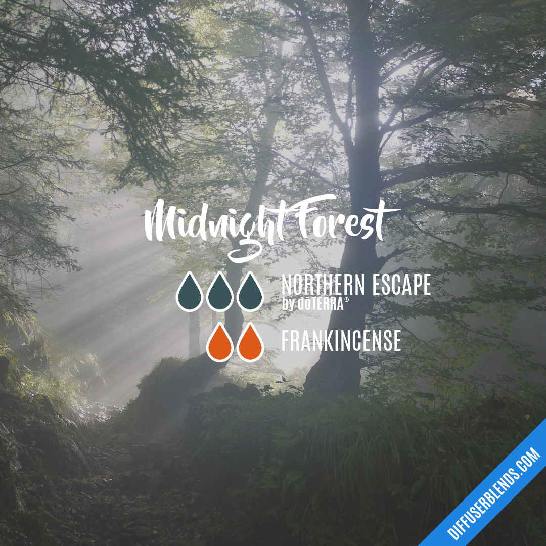 Midnight Forest — Essential Oil Diffuser Blend