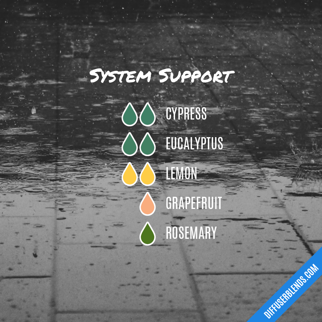System Support — Essential Oil Diffuser Blend