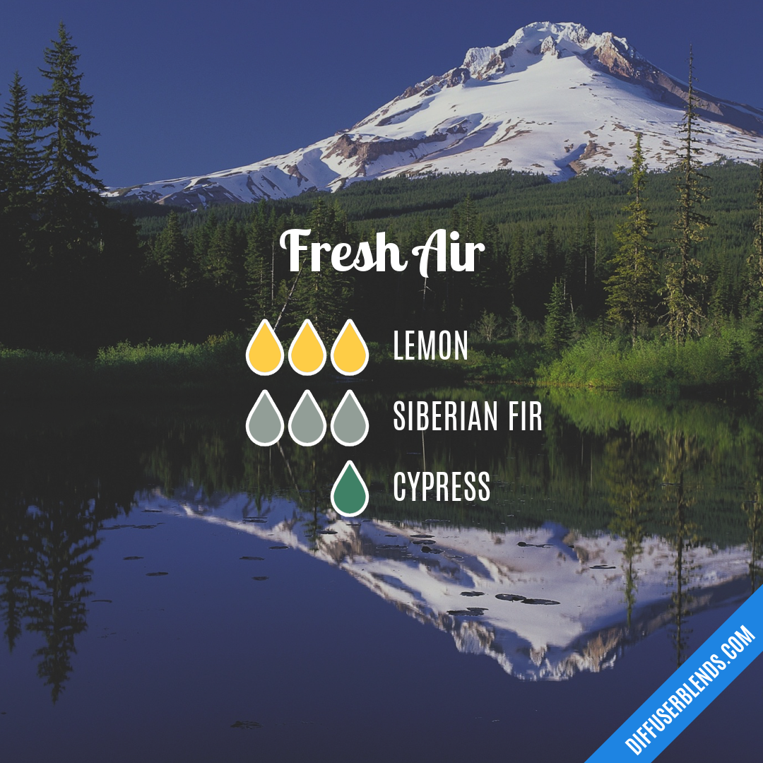 Fresh Air — Essential Oil Diffuser Blend